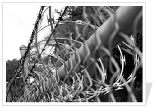 Razor Barbed Wire 